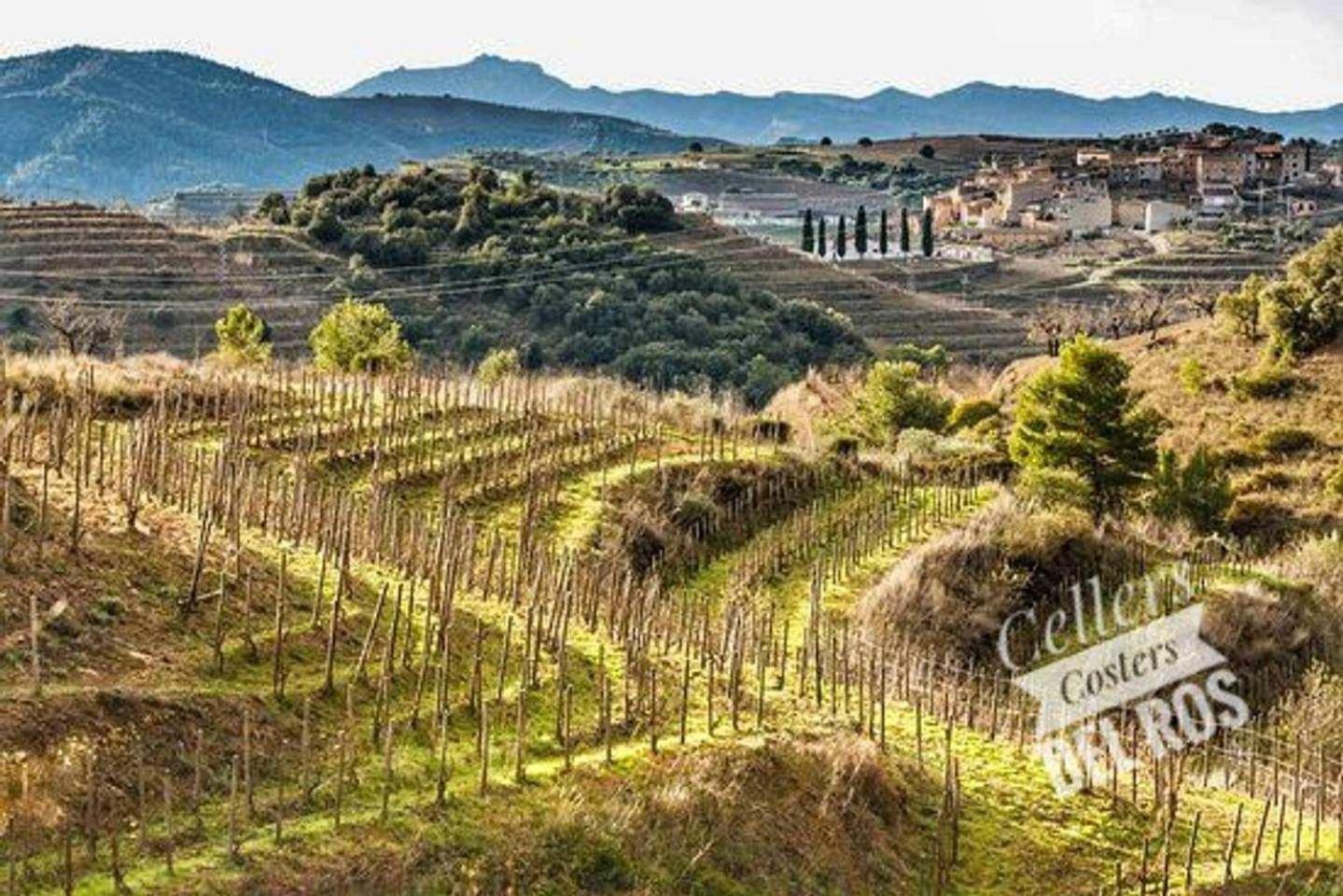 Ca Laixut Turismo Rural 그라타요프스 외부 사진